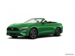 2019 Ford Mustang Photo 1